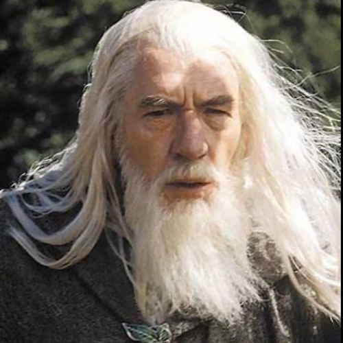GandalfTheGrey_'s profile picture. A wizard is never late, Frodo Baggins. Nor is he early; he arrives precisely when he means to.