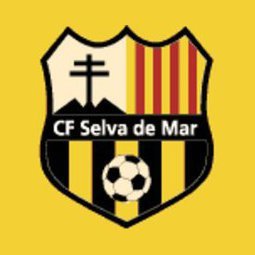 Twitter oficial dels Selvatans CF, modest equip de futbol que milita al grup ''31'' de 4a Catalana. SELVATÀ FINS A REBENTAR!