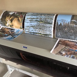 CairnsHall's profile picture. Cairns Hall is a Large Format Print Service based in Central Scotland. We print Posters, Giclee, Acetate, Banners, Canvas etc. Visit our website for more info.