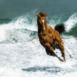 NoorelmasreyA7's profile picture. 