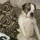 mark pickford - @cheese_69er - Twitter