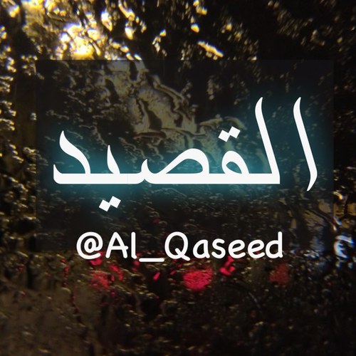 اقدع قصيدة ~ وخذ فنجالها صورة ! // فِ المفضلة أجمل الأبيات