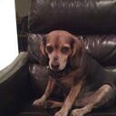 Patricia Lane - @PattiByrd - Twitter