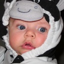 Pamela Evans - @delhi312 - Twitter