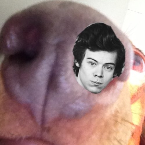 soulsisterharry's profile picture. i can put my feet behind my neck #special