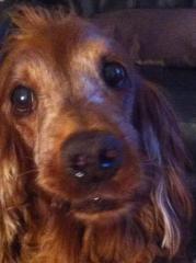 denise94denise's profile picture. 