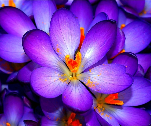 MishellSantana's profile picture. 