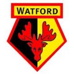 _WatfordFC is a twitter account bringing you Watford FC news, views, transfer rumours, Pictures and much more.#watfordfc