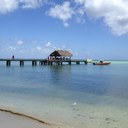 Bernard Evans - @trini_evans - Twitter