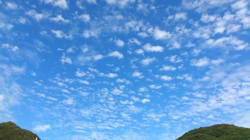 八千代に住み始めて15年がたちました。2児の母。
生まれは房総・シャチがいるところ♪