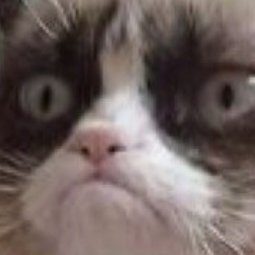 NEW ACCOUNT @HOLLYPLS, I FOLLOW BACK ON @HOLLYPLS