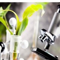 Noor Enzymes (@noorenzymes) 's Twitter Profile