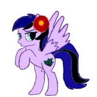 Nimbus Flare (@mlp_nimbus) Twitter profile photo