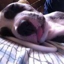 James Looper - @JamesLooper1 - Twitter