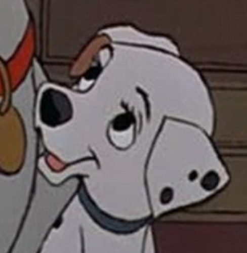 Hello there! Im Penny! One of Pongo and Perdita's 101 dalmation puppies! I rather love to play, go on walks, and chat with people so feel free to say hi!