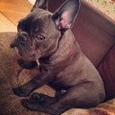 jackson cornish - @jacksoncornissh - Twitter