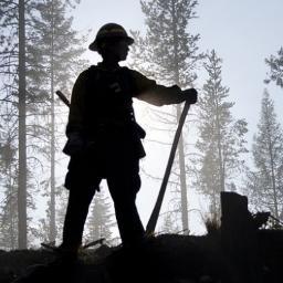 DeFORAwareness's profile picture. Striving to be a center for deforestation awareness and solutions. #gogreen