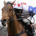 BestFREERacing (@bestfreeracing) Twitter profile photo