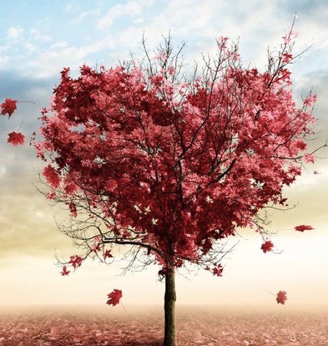 DONT STOP BELIEVING IN YOURSELF BECAUSE YOU CAN DO IT! Love is path, and the way to life.