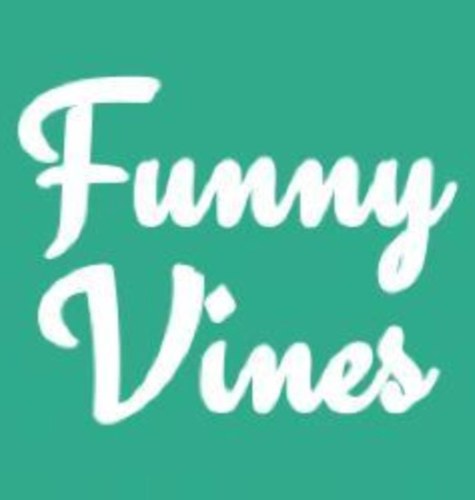 Posting the best vines.                                                     Not affiliated with Twitter or Vine