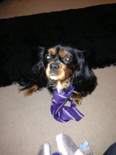 vonnyheath's profile picture. 