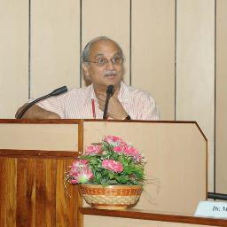 TV Raman Pai Chair Professor, National Institute of Advanced Studies