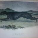 Tom Cave - @Clarethound - Twitter