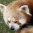 sunsetsandie's profile image