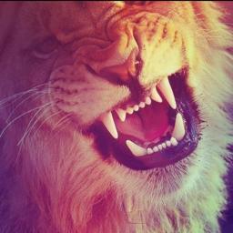 Death was afraid of him because he has the heart of a lion.