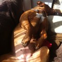 mark moores - @moorseythedaddy - Twitter