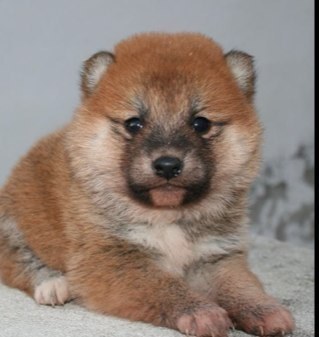 EscamezAlfonso's profile picture. 