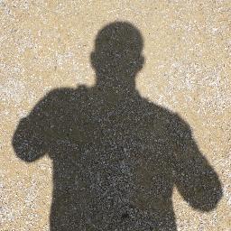 bearvarian's profile picture. 