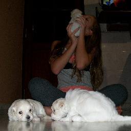 EvelynVidolini's profile picture. La gente habla mal de mi 
Como si yo fuera a cambiar..