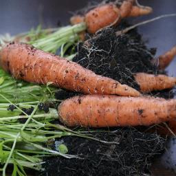 Samen met de boer organiseren wij gezellige markten met biologische en/of streekproducten, eerlijke en hand gemaakte cadeaus en voor jong & oud plezier.