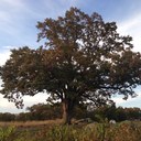 Debbie Manuel - @DebbieManuel - Twitter