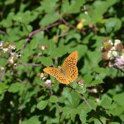 REFconPOESIA's profile picture. Aficionada a jugar con las palabras... 
#Libros #Poesía #Poem #Brooks #Poetry #Nature    
  Mi nuevo libro: 'Puntos Orbitales'
¡Ya disponible en librerías! 👇🏽