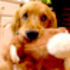 jokeaney's profile picture. 