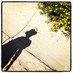 Anja Knoblauch (@anja_knoblauch) Twitter profile photo