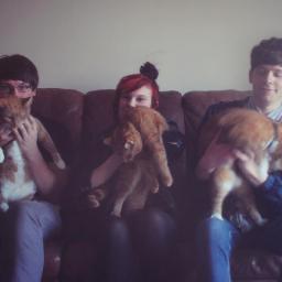 cubsband's profile picture. 3-piece Indie band from Norwich
bandofcubs@gmail.com