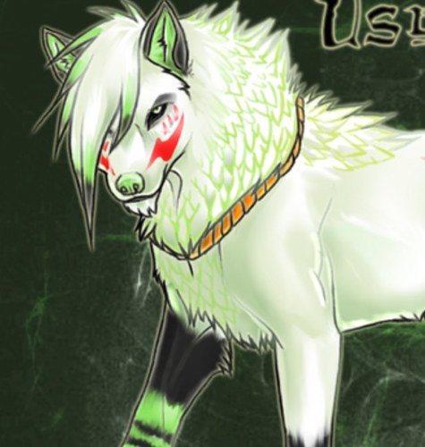 RP im max im a nice wolf and my mate is @WolfStar18