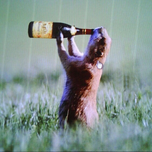 kobelf's profile picture. 