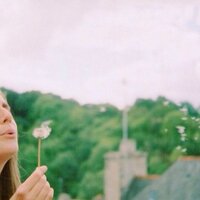 IVI (@annshavi) 's Twitter Profile