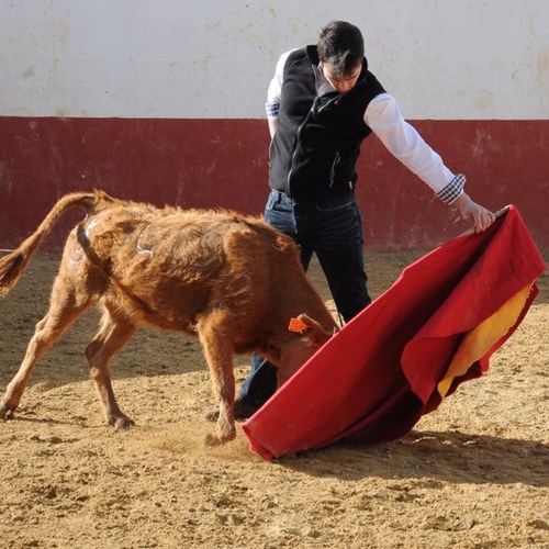 Borja Martinez