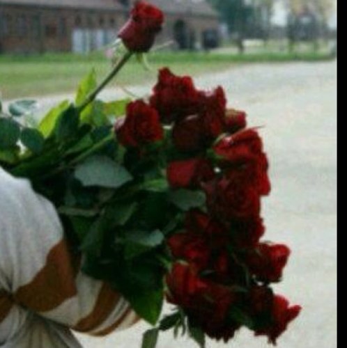 الإنسان الأنيق في تعامله .. وحديثـه : يقتحـم أعماق كل من يقابله ... ويحظى بإحترام الجميع بطريقته .. كن بسيطاً تكن أجمل !
