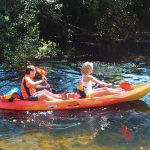 krisceibe1's profile picture. 