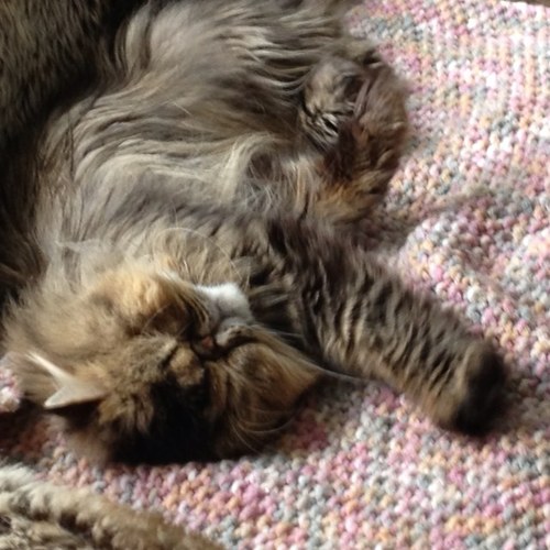 rqmoral's profile picture. 