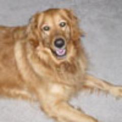 tangodancer208's profile picture. Fan of Ryan Kelly & Neil Byrne & Sway (BTW, I do NOT write fanfiction)!