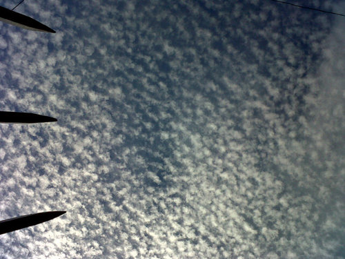 LauSarita's profile picture. 