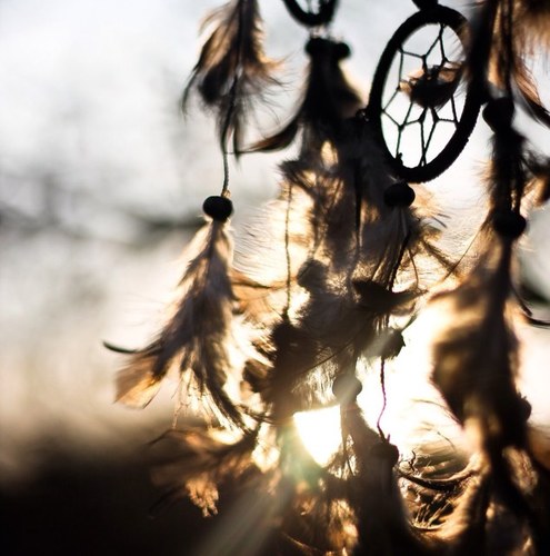 Seaserenity1's profile picture. 