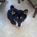 Brian Friedrich - @frightfestfan - Twitter